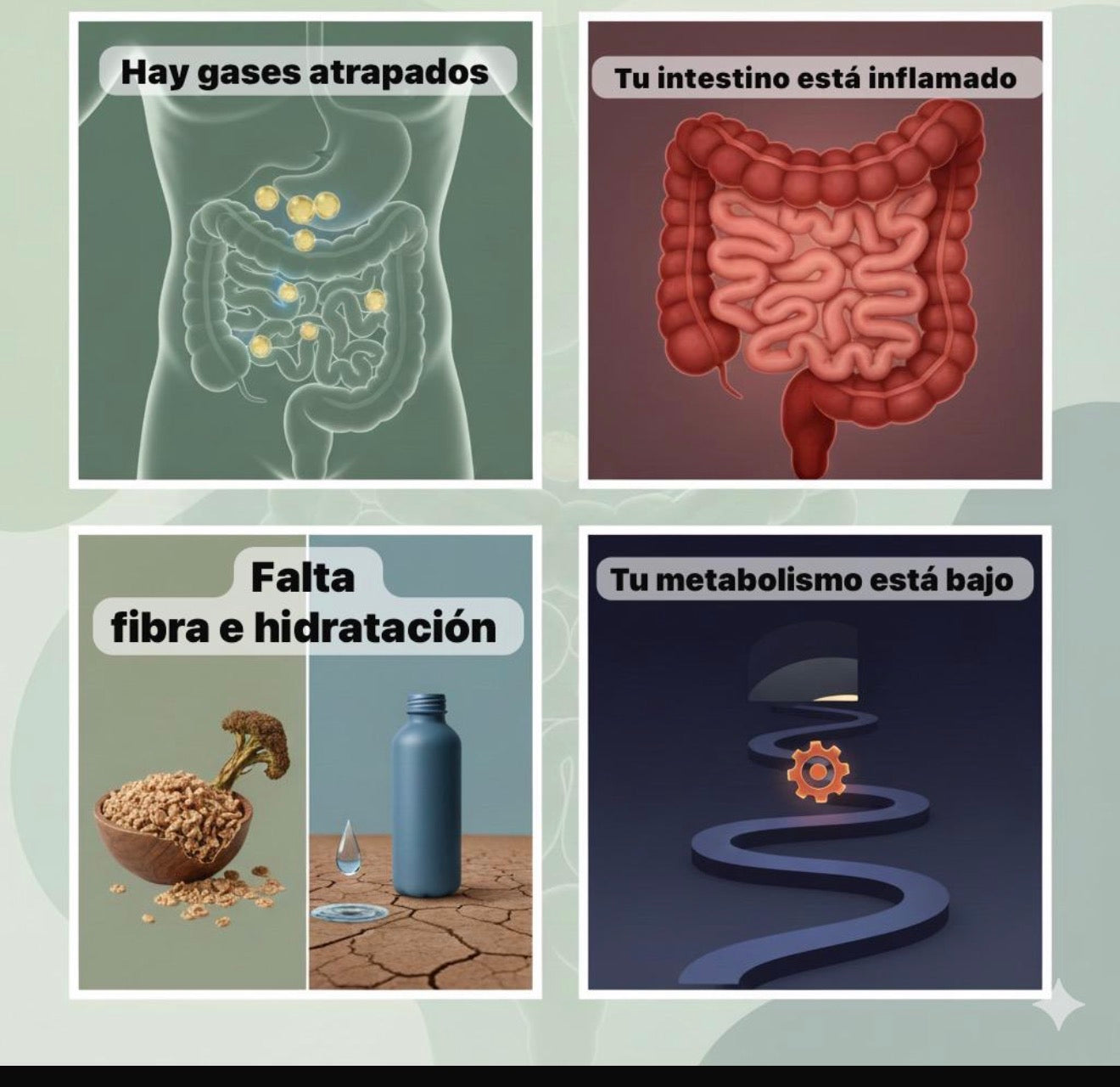 ZAFIROX® Daily Wellness Supplement